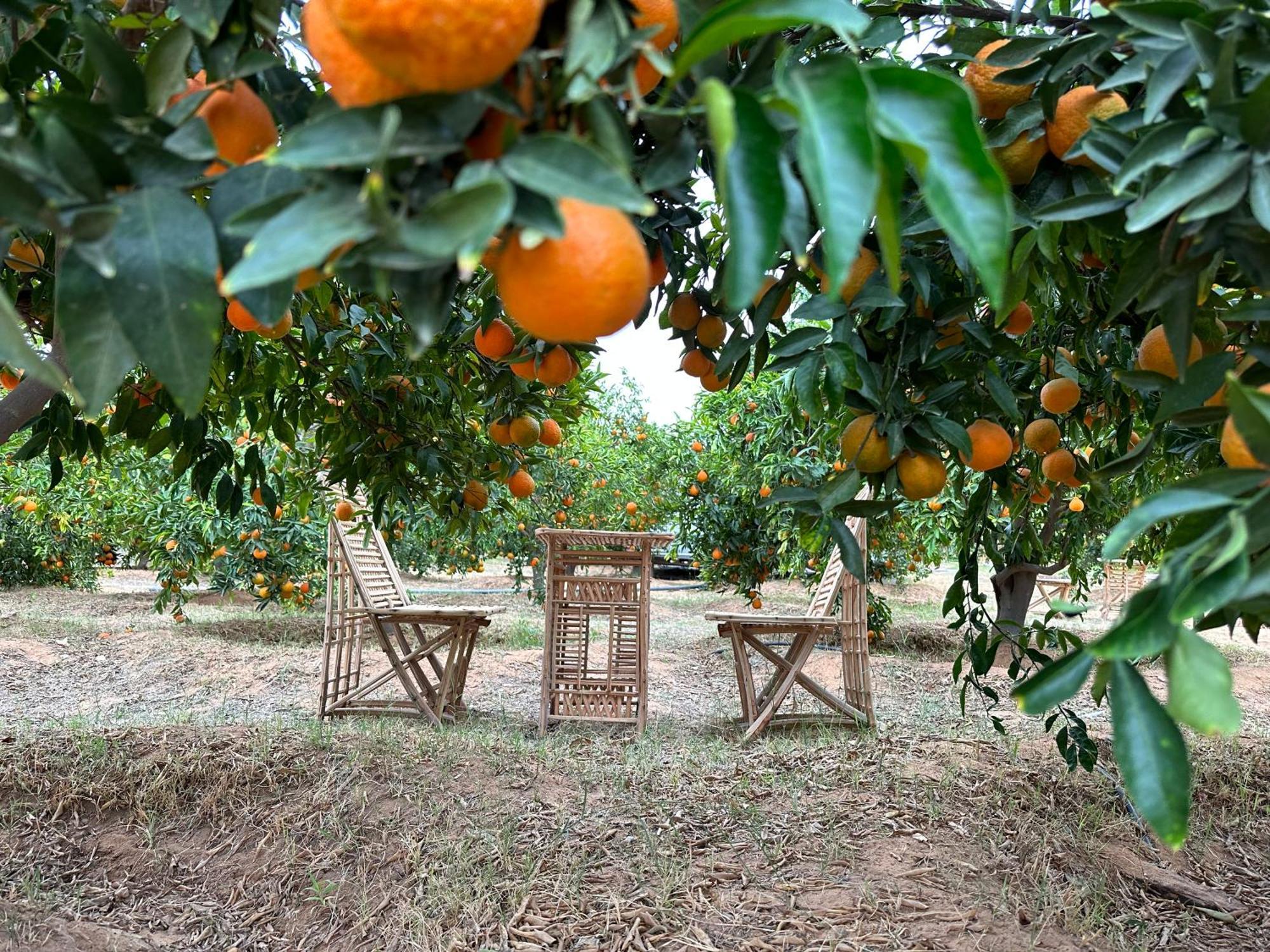 Rural Tents Naseem الخيمةالريفيةalouzaib Al-Ula Kültér fotó