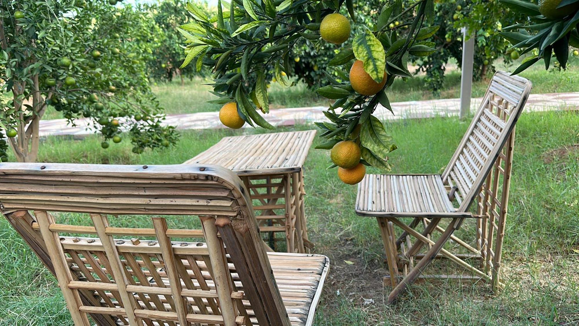 Rural Tents Naseem الخيمةالريفيةalouzaib Al-Ula Kültér fotó